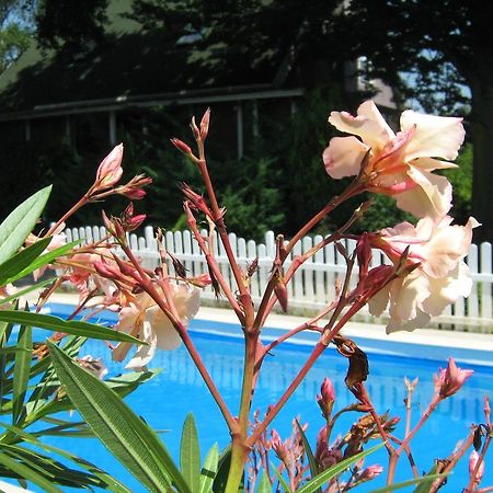 Guest House Westwood Kraljevec Kupinecki Bilik gambar